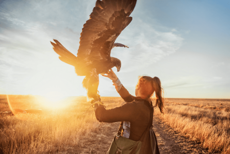 eagle hunting
