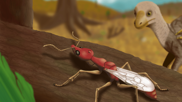 an illustration of a large red ant with curved jaws. a bird looks on with a concerned expression